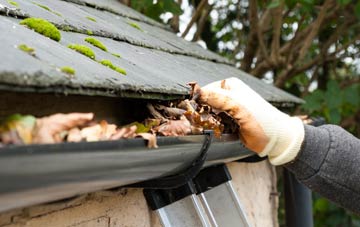 gutter cleaning Fifield