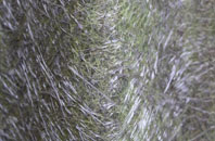 Fifield fibreglass roof work